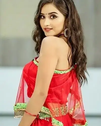 Escort In Rohini
